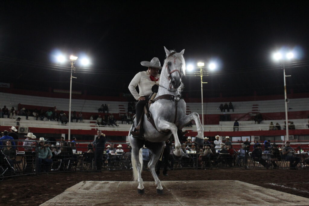 Jalisco celebra su primer Festival Nacional del Caballo Bailador