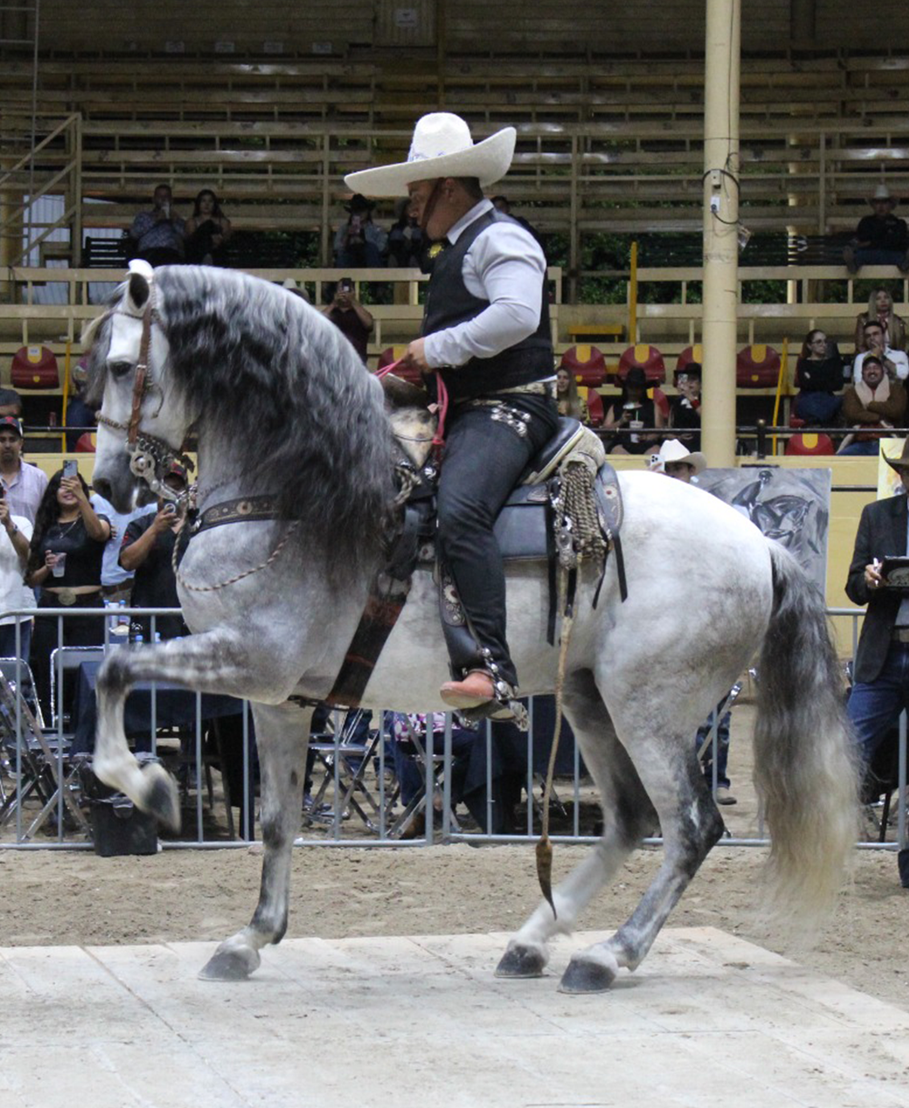 img-Canciller 2do lugar categoria PROpng