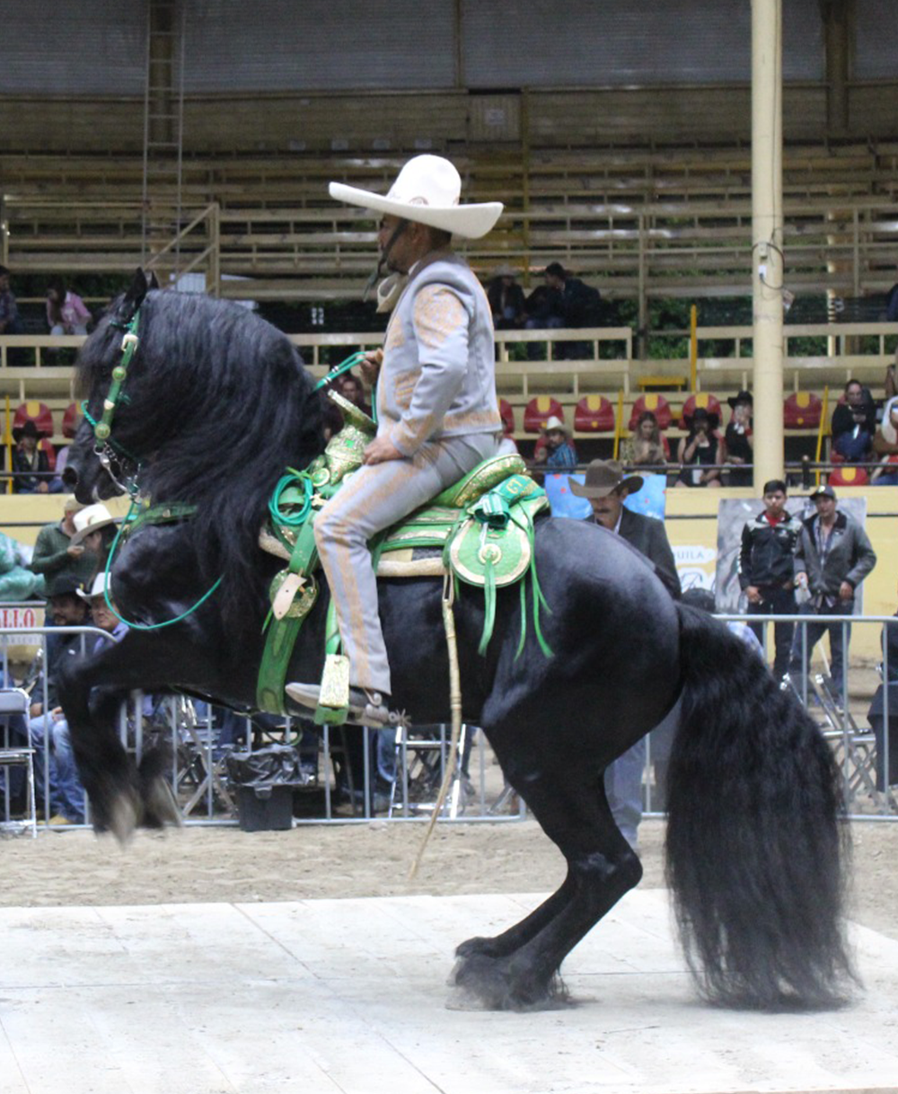 img-Jaspe 1er lugar categoria PRO y campeon de campeones FECAT 2025