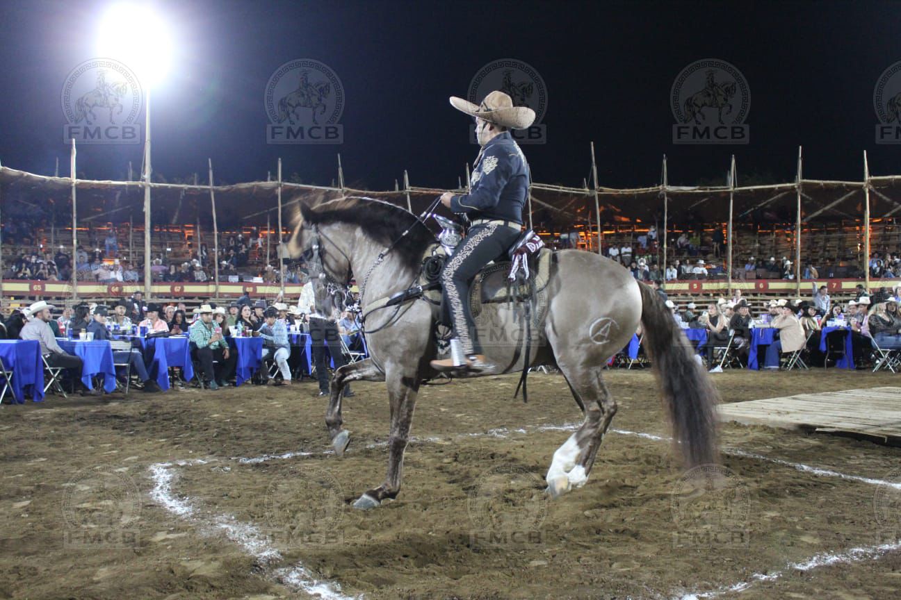 WhatsApp Image 2026-02-18 at 1.51.48 PM (1)