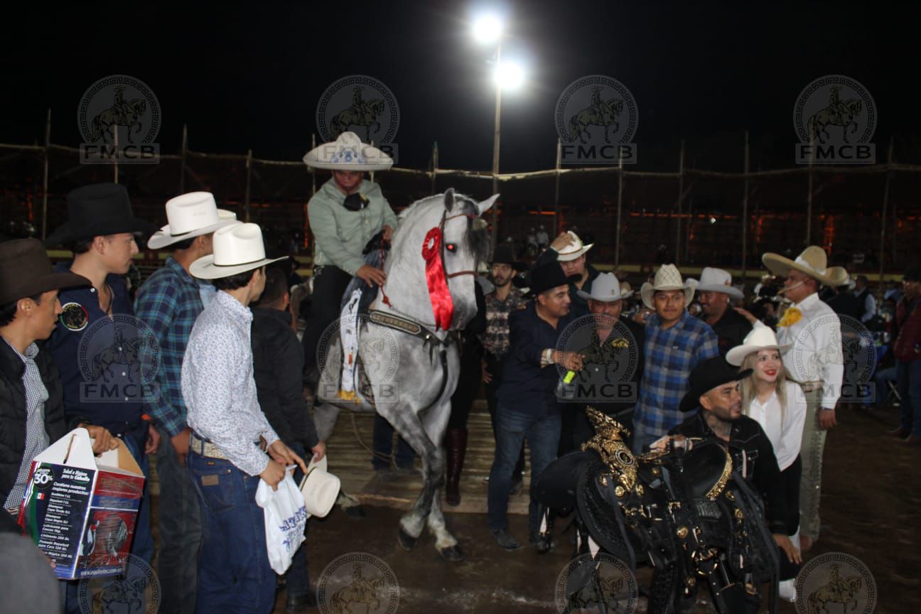 WhatsApp Image 2026-02-18 at 1.55.33 PM (3)