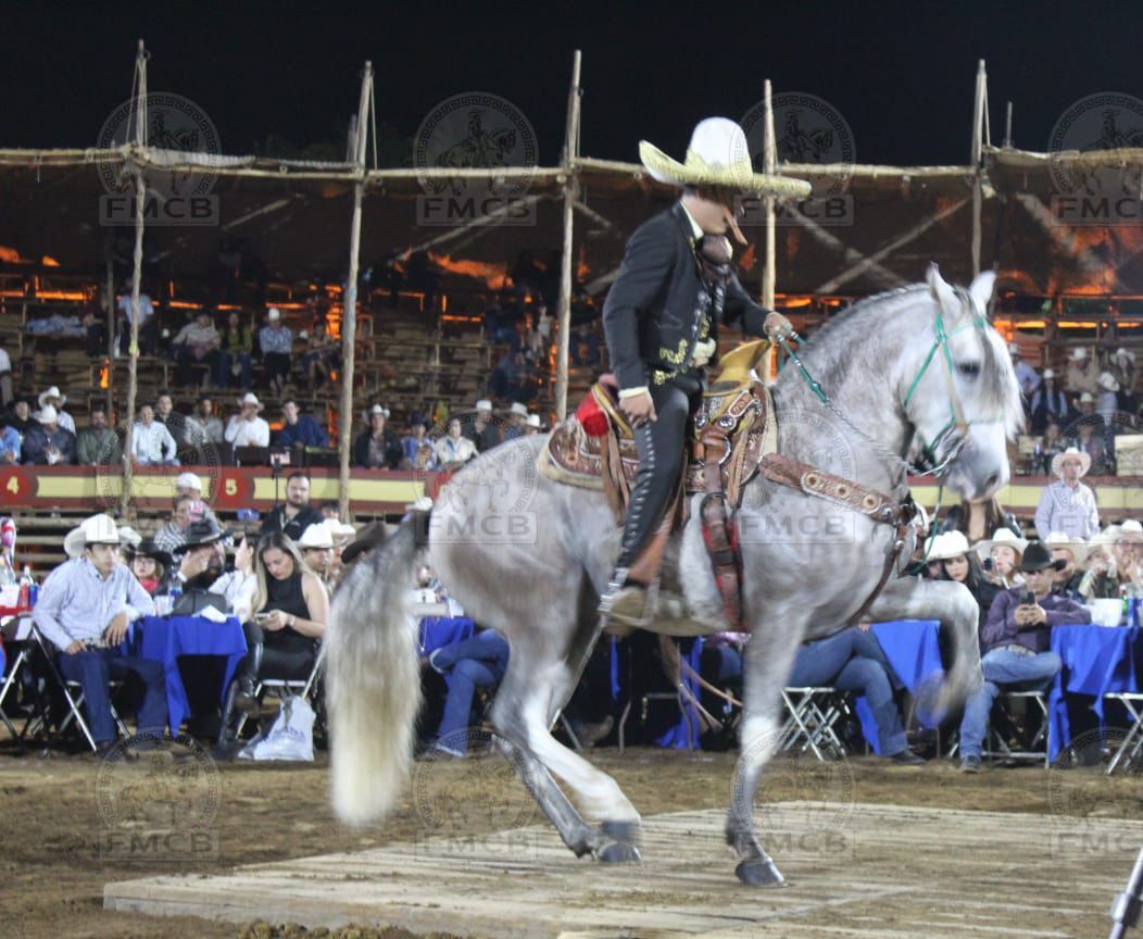 WhatsApp Image 2026-02-18 at 1.55.34 PM (2)