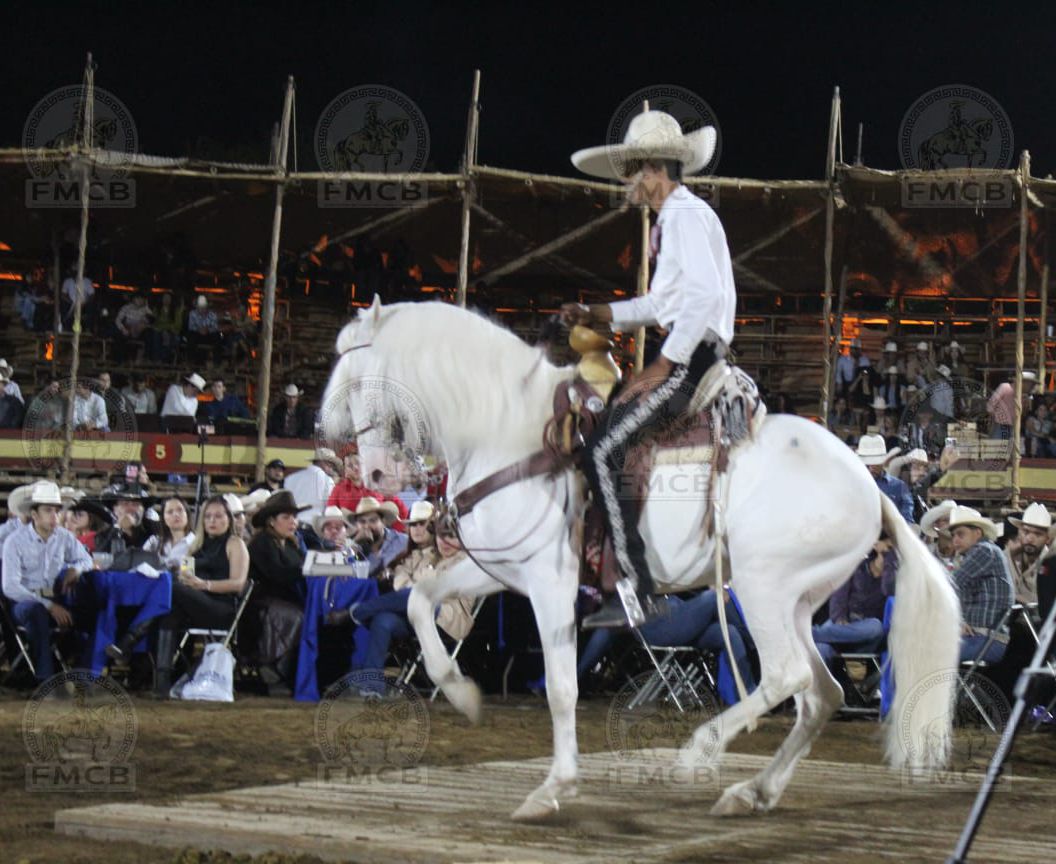 WhatsApp Image 2026-02-18 at 1.55.34 PM (3)