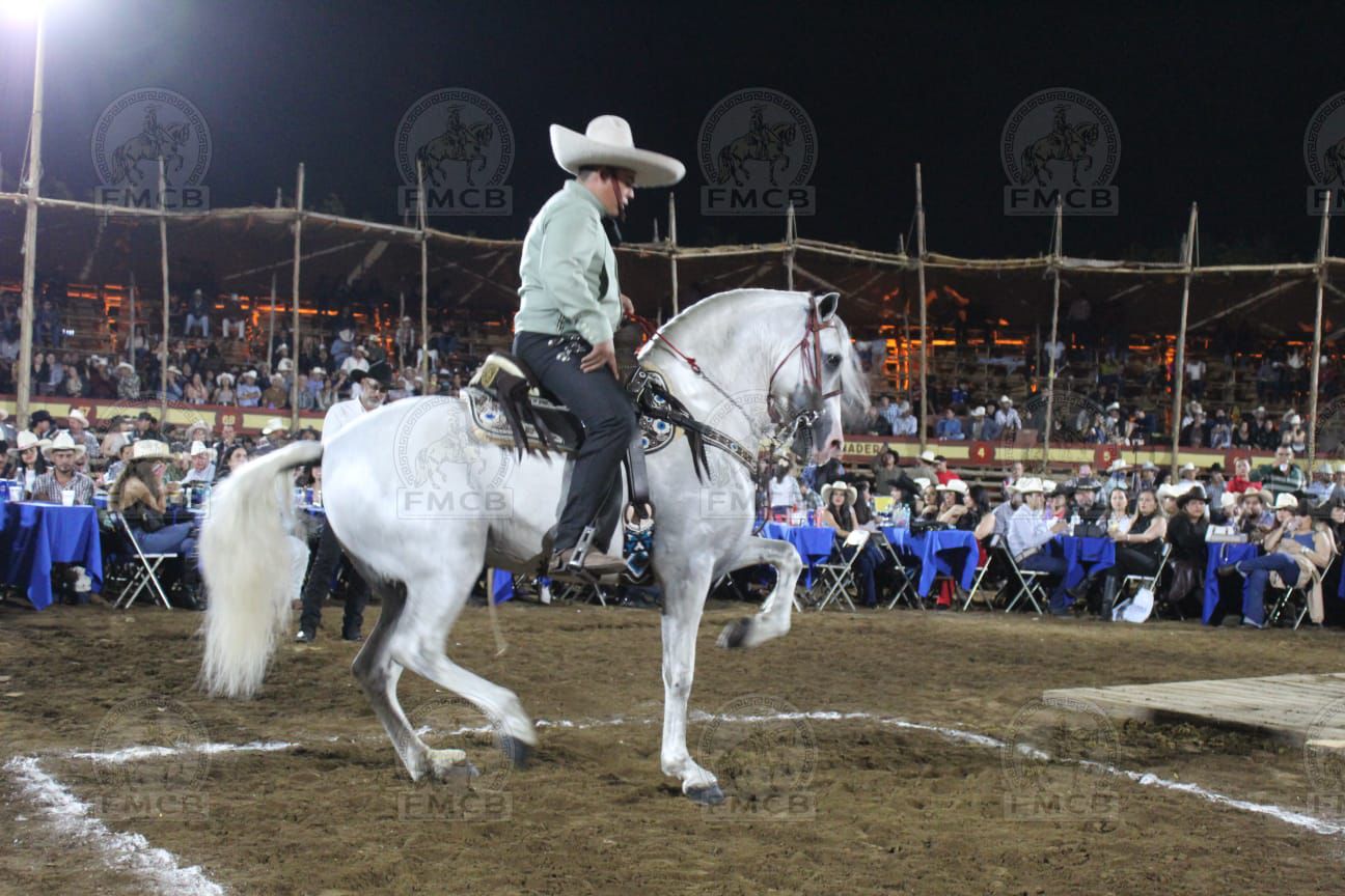 WhatsApp Image 2026-02-18 at 1.55.34 PM (4)